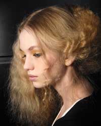 Capelli secchi Capelli secchi