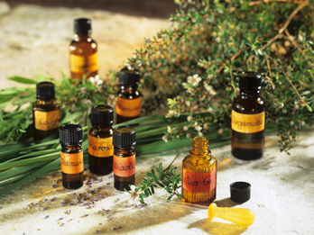 Occhio agli eco furbi Occhio agli eco furbi