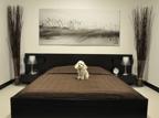 Hotel di lusso per cani