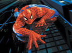 Dal film 'Spider man'