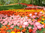 Eventi green di primavera