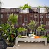 Come farsi l'orto sul balcone