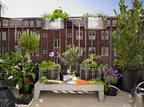 Come farsi l'orto sul balcone. In sette mosse