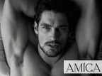 David Gandy, sex symbol bello e solo