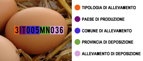 Codice di etichettatura delle uova Codice di etichettatura delle uova