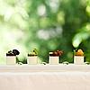 Panna cotta light alla gel�e di frutta