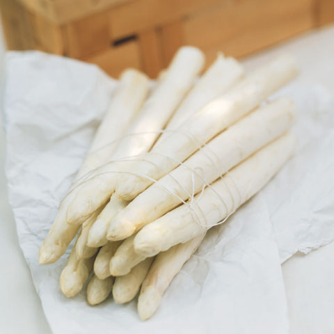  Asparagi di Zambana