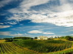 Enoturismo: le vie del vino