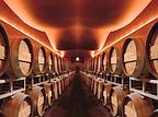 Le cantine di design