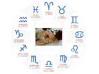 Zodiaco goloso